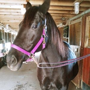 Meet your Posher, Jennifer